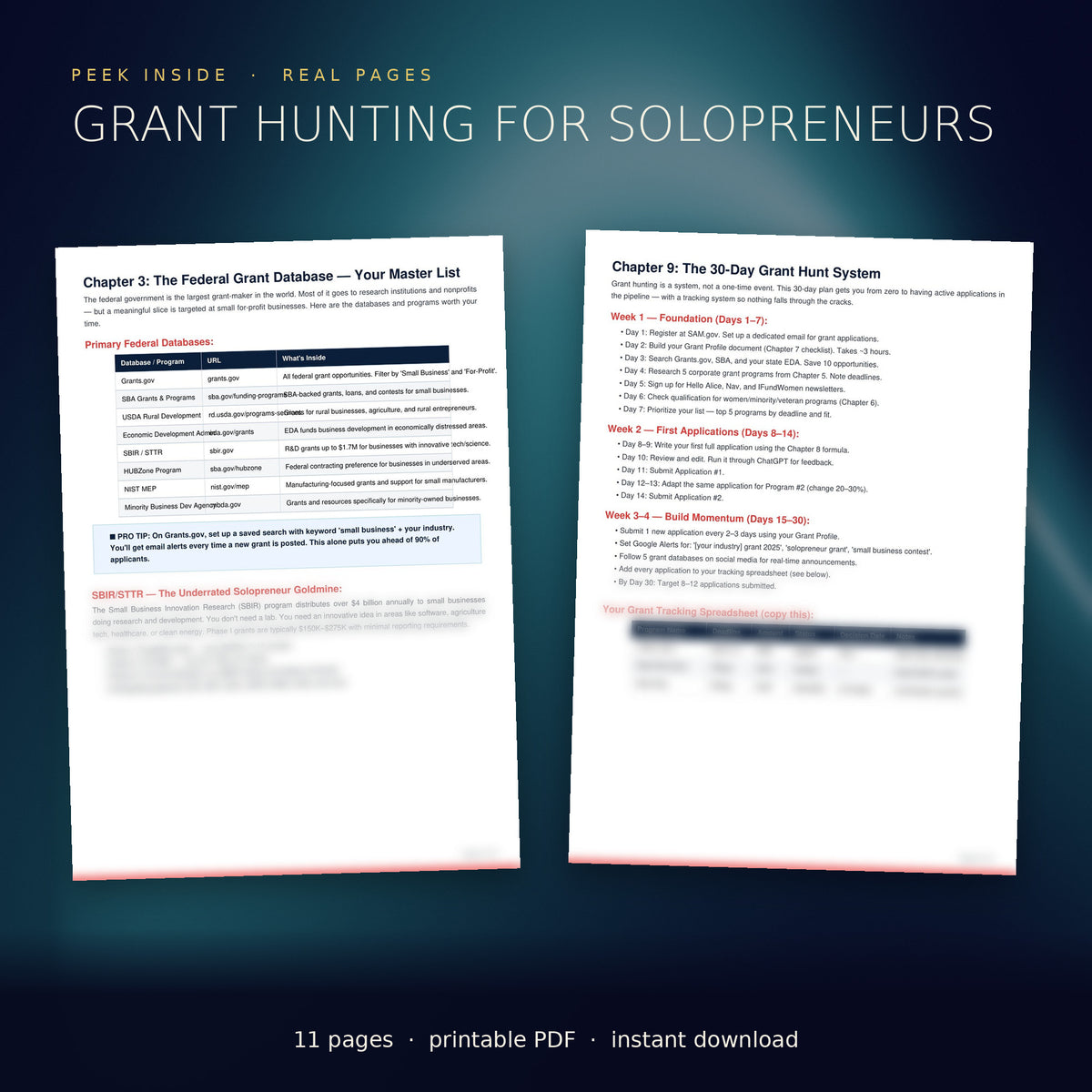 Grant Hunting for Solo-preneurs